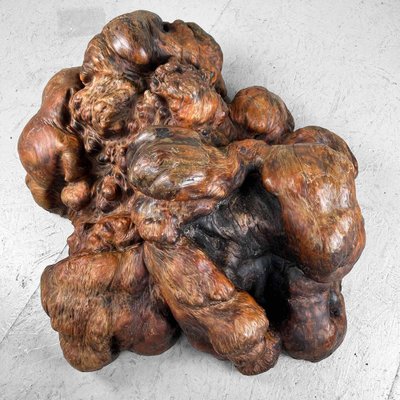 Japanese Decorative Burl Wood Decor, 1920s-DWL-1736953