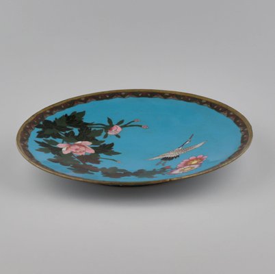 Japanese Plate in Cloisonne Enamel-WMV-1127582