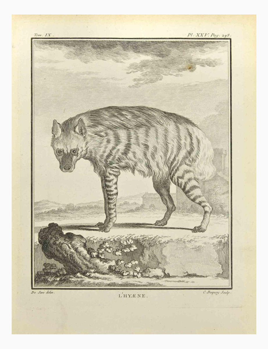 Jean Charles Baquoy, Hyena, Etching, 1771