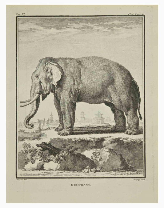 Jean Charles Baquoy, L'Elephant, Etching, 1771