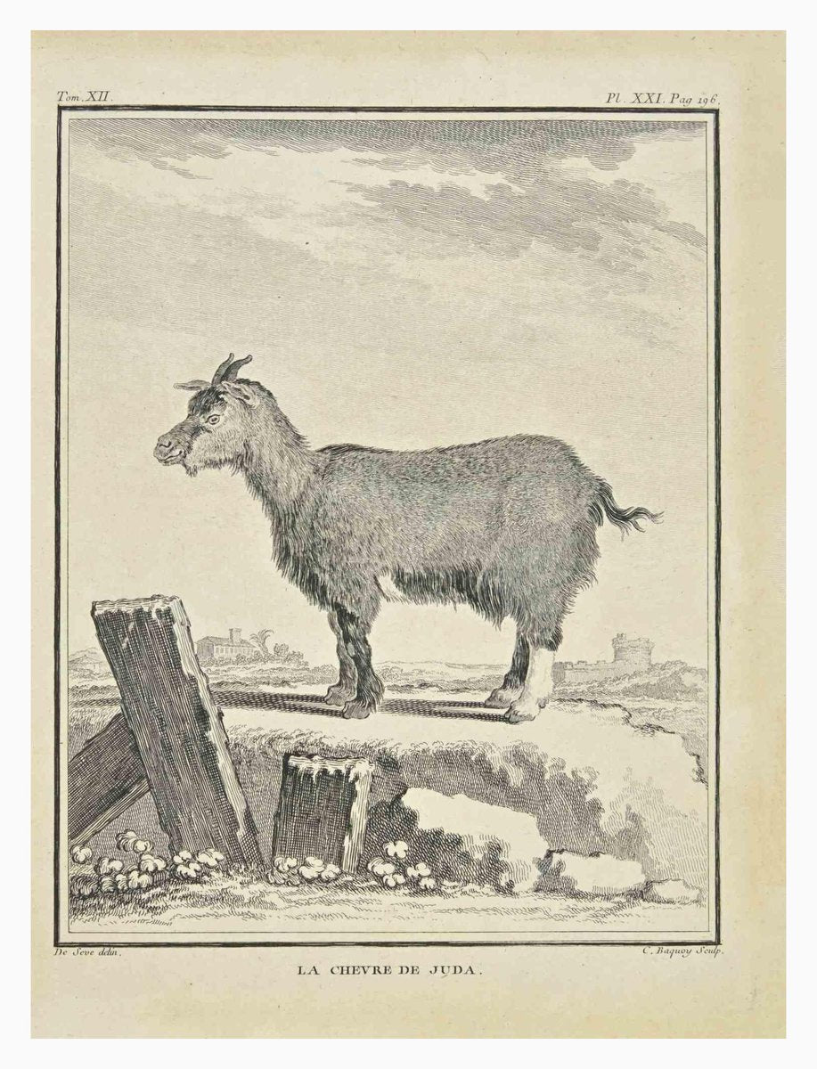 Jean Charles Baquoy, La Chevre de Juda, Etching, 1771