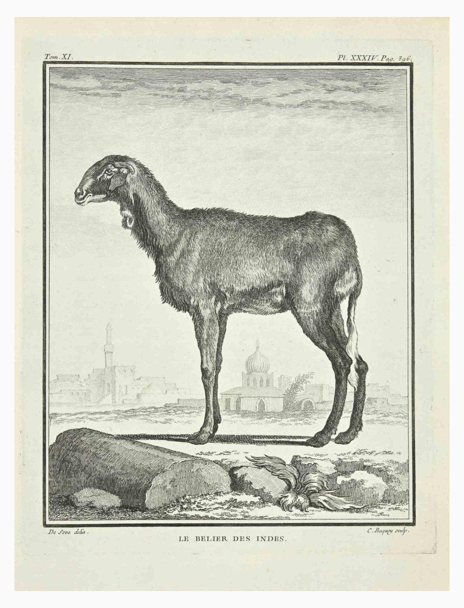 Jean Charles Baquoy, Le Belier, Etching, 1771