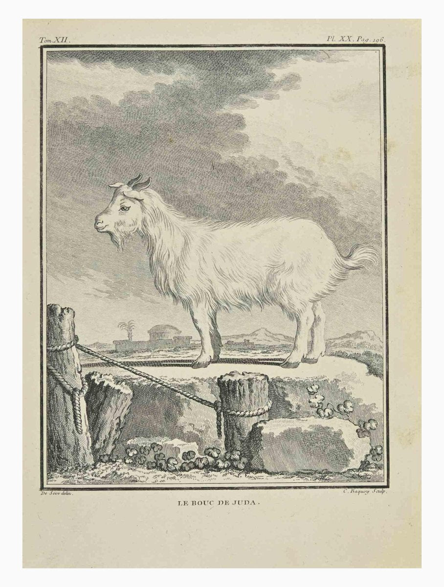 Jean Charles Baquoy, Le Bouc de Juda, Etching, 1771