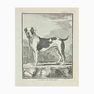 Jean Charles Baquoy, Le Dogue de Forte Race, Etching, 1771-ZCI-2030123