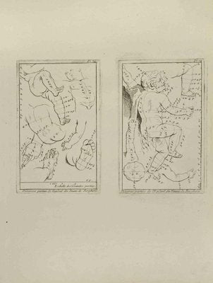 Jean François Poletnich, Anatomy Studies, Etching, 18th Century-ZCI-2029385