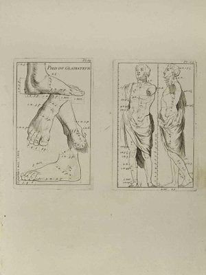 Jean François Poletnich, Anatomy Studies, Etching, 18th Century-ZCI-2029382