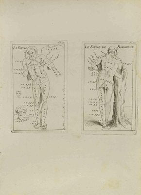 Jean François Poletnich, Anatomy Studies, Etching, 18th Century-ZCI-2029383