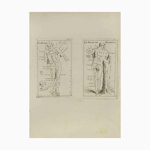 Jean François Poletnich, Anatomy Studies, Etching, 18th Century-ZCI-2029383