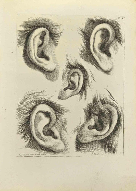 Jean François Poletnich, Ears, Etching, 1755