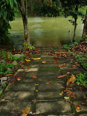 Jess Hon, Colorful Walkway to the Stream, 2022, Photographic Print-CHG-2036981