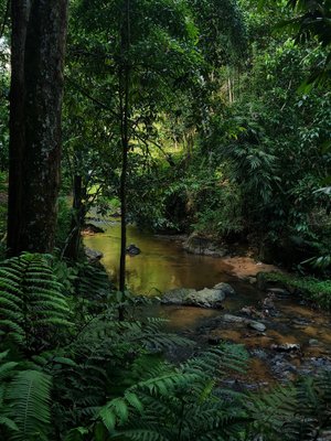 Jess Hon, Scenic View of a Stream, 2023, Photographic Print-CHG-2036969