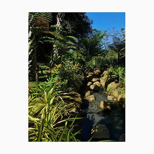 Jess Hon, The Enchanting View of Garden, 2022, Photographic Print-CHG-2030214