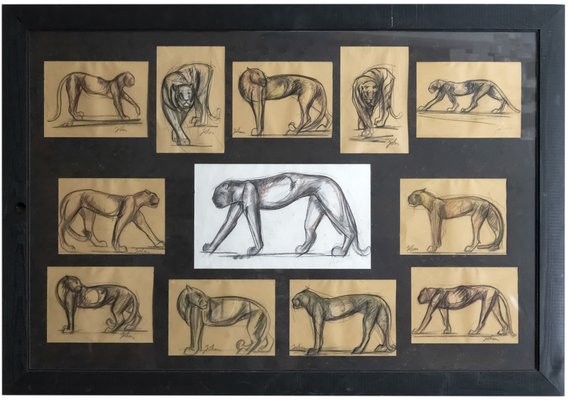 Johan Etiennette, Panther, Pastel Sketches on Paper, Framed-ZVH-1317685