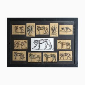 Johan Etiennette, Panther, Pastel Sketches on Paper, Framed-ZVH-1317685