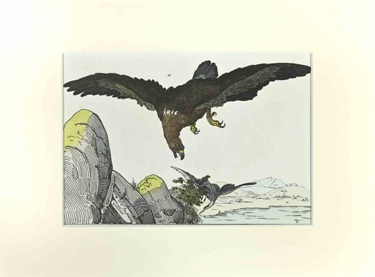 Johann Friedrich Naumann, Eagle, Etching, 1840-ZCI-2029083