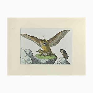 Johann Friedrich Naumann, Great Owl, Etching, 1840-ZCI-2025219