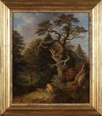 Johann Jakob Dorner, Forest Landscape with Fox, Munich Painter, Oil on Cardboard-QFT-2031442