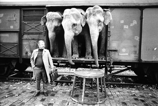 José Nicolas, 002- American Circus Paris, 1985, Silver Gelatin Print