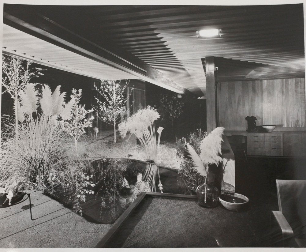 Julius Shulman, Building by Richard J. Neutra, 1959, Photographic Print