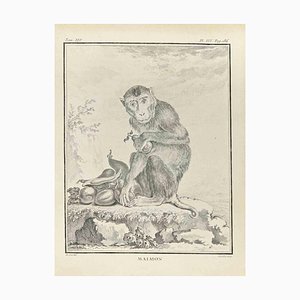 Juste Chevillet, Maimon, Etching, 1771-ZCI-2029918