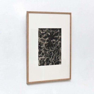 Karl Blossfeldt, Flower Image, 1942, Black & White Photogravures, Set of 6-WM-1177905