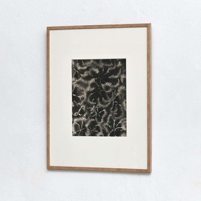 Karl Blossfeldt, Flowers, Photogravures, 1942, Framed, Set of 4-WM-1395382