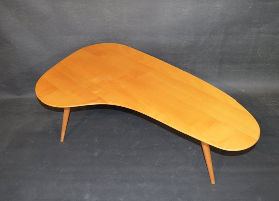 Kidney/Boomerang Shaped Coffee Table attributed to Willy Van Der Meeren, 1970s-ZKR-2026007