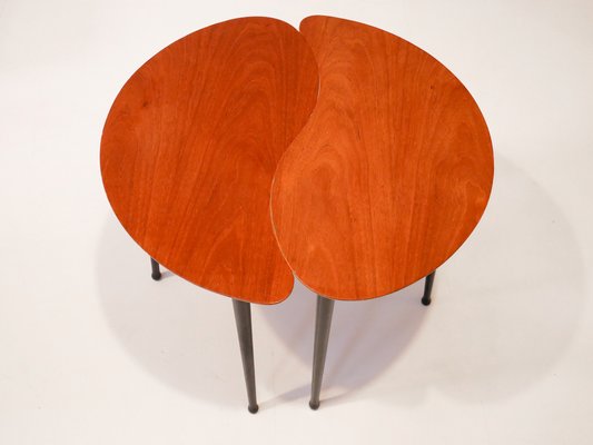 Kidney Shaped Coffee Tables, Denmark, 1950s, Set of 2-OGU-1072885