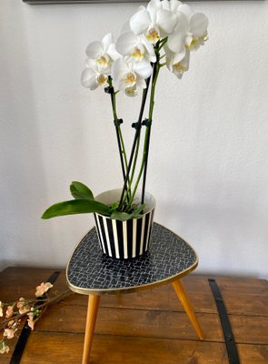 Kidney-Shaped Formica Flower Table or Plant Stand, 1950s-PYR-906857