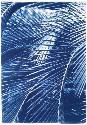 Kind of Cyan, Majesty Palm Pattern, 2021, Cyanotype-RWC-1077669