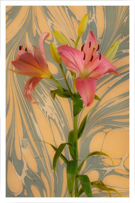 Kind of Cyan, Seventies Psychedelic Flower, 2021, Giclée Print on Photographic Paper-RWC-1064172