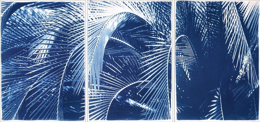 Kind of Cyan, Shady Majesty Palm Leaves, 2021, Cyanotype-RWC-1076936