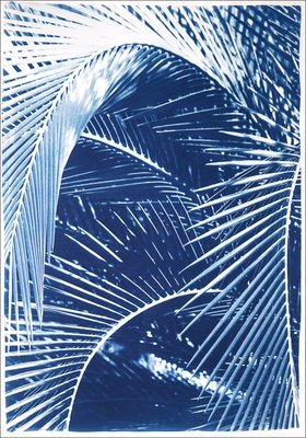 Kind of Cyan, Shady Majesty Palm Leaves, 2021, Cyanotype-RWC-1076936