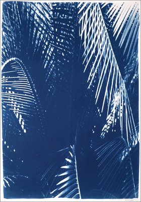 Kind of Cyan, Shady Majesty Palm Leaves, 2021, Cyanotype-RWC-1076936