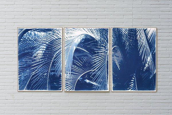 Kind of Cyan, Shady Majesty Palm Leaves, 2021, Cyanotype-RWC-1076936