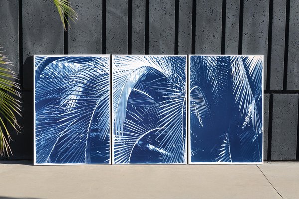 Kind of Cyan, Shady Majesty Palm Leaves, 2021, Cyanotype-RWC-1076936