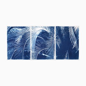 Kind of Cyan, Shady Majesty Palm Leaves, 2021, Cyanotype-RWC-1076936