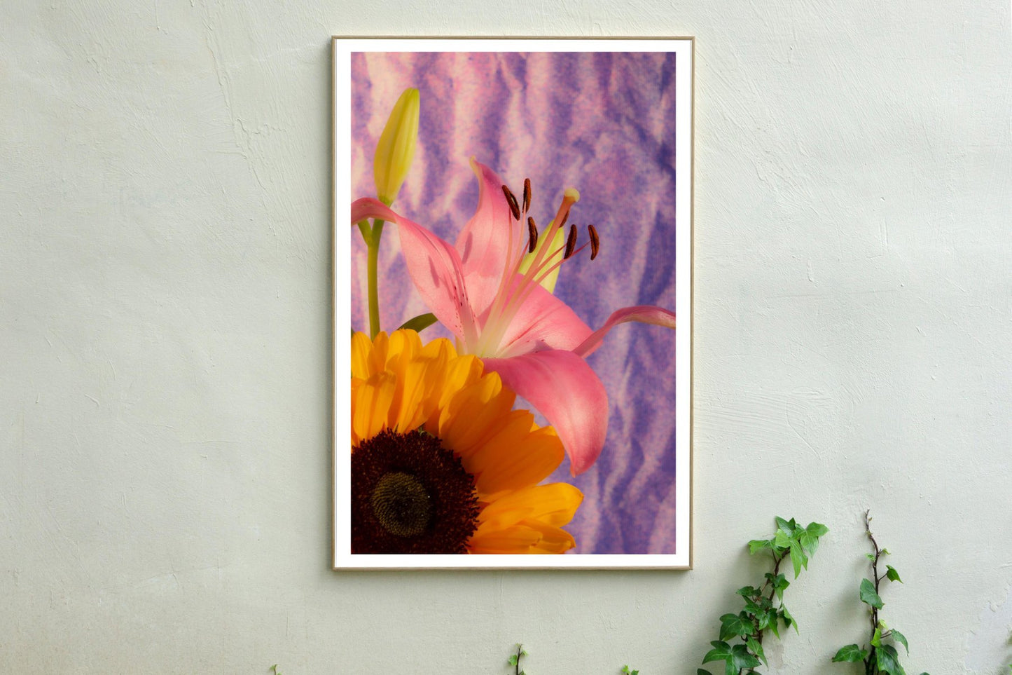 Kind of Cyan, Sunflower Lily, 2021, Giclée Print on Photographic Paper