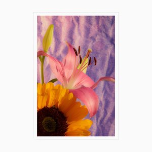 Kind of Cyan, Sunflower Lily, 2021, Giclée Print on Photographic Paper-RWC-1064169