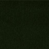 Dark Green (07IS)