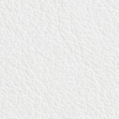 00100