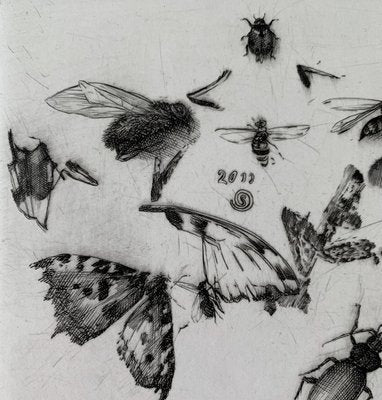 Krzysztof Skórczewski, Insects Rural Sketches, 2011-XHG-928007