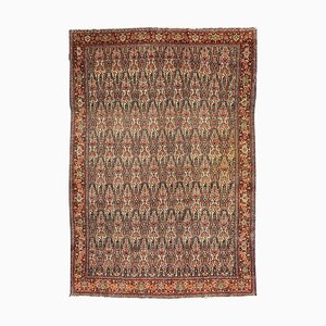 Kurdish Senneh Rug-YMM-1062021