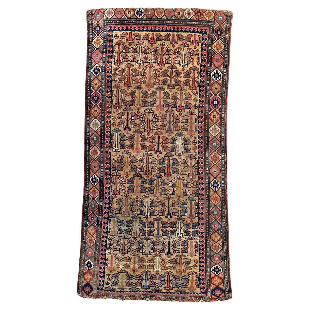 Kurdish Tribal Collectible Rug