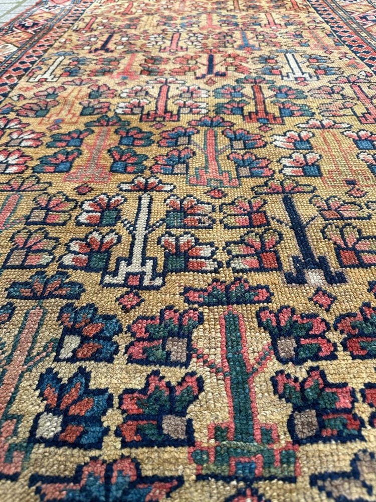 Kurdish Tribal Collectible Rug