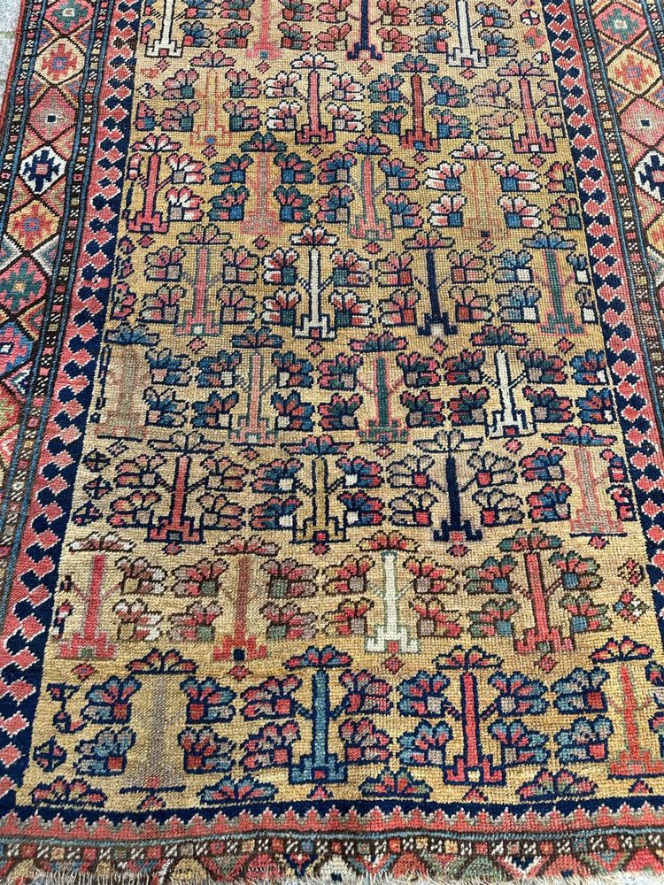 Kurdish Tribal Collectible Rug