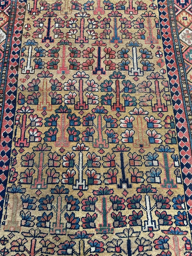 Kurdish Tribal Collectible Rug