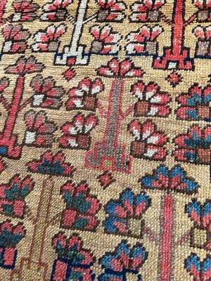 Kurdish Tribal Collectible Rug-YMM-1822404