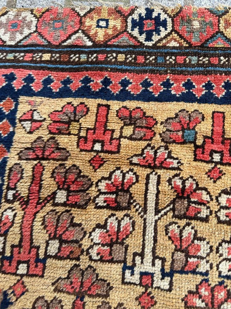 Kurdish Tribal Collectible Rug