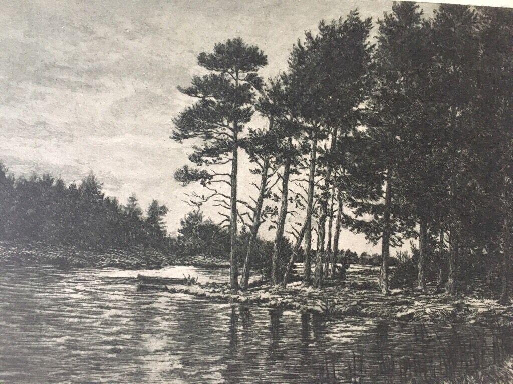 Kurt Panzerbieter, Etching, River in Forest